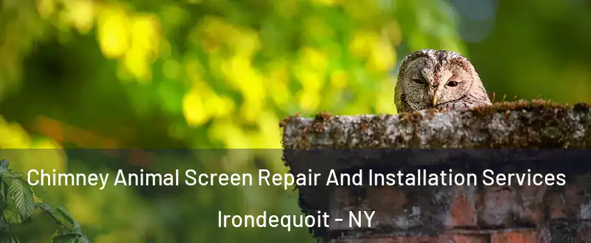  Chimney Animal Screen Repair And Installation Services Irondequoit - NY