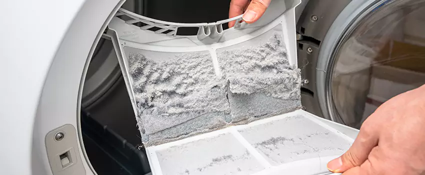 Best Dryer Lint Removal Company in Irondequoit, New York