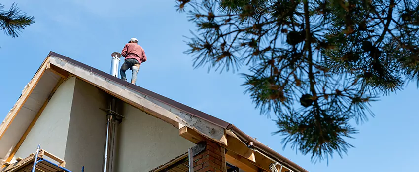 Birds Removal Contractors from Chimney in Irondequoit, NY